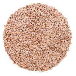 BROWN FLAX SEEDS, ORGANIC 5 LB