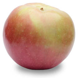 MI APPLES, MACINTOSH, IPM, BUSHEL, (36 - 40 LB)