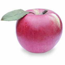 MI APPLES, IDA RED, IPM, BUSHEL, (37 - 40 LB)
