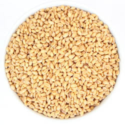WHEAT BERRIES, SOFT WHITE, ORGANIC 50 LB BAG