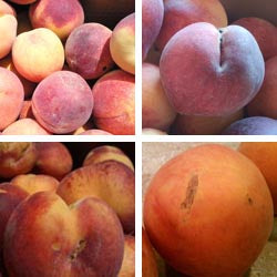 FRESH GA PEACHES, IPM, FREESTONE, NUMBER 2, Half Bushel, 25 LB Box