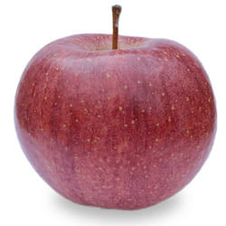 CAMEO MI APPLES, IPM, BUSHEL, 38 - 40 LB