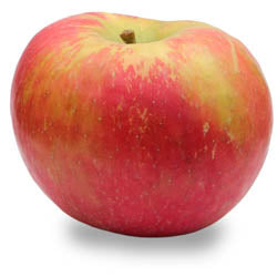 HONEYCRISP APPLES, IPM, BUSHEL, 38 - 40 LB