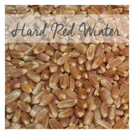 Organic Hard Red Winter Wheat Berries, 9 LB Bag