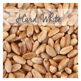 Organic, Prairie Gold Hard White Wheat Berries, 50 LB Bag - Bulk Natural Foods Market