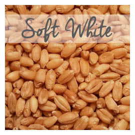Soft White Wheat Berries, Organic, 9 LB Bag